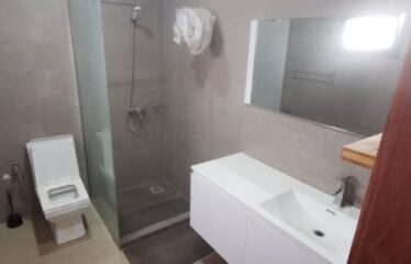 Apartment for rent in Les Mamelles