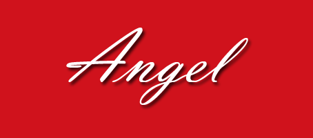 AGENCE IMMOBILIÈRE ANGEL