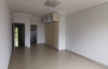 APPARTEMENT A LOUER AUX ALMADIES