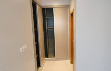 Appartement à louer Mermoz Sacré-Cœur