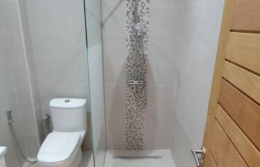 Appartement à louer Mermoz Sacré-Cœur