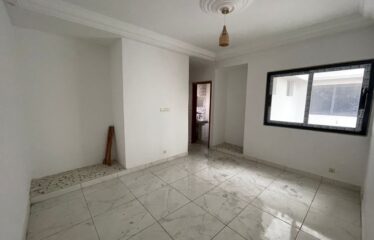 Appartement MEUBLÉ a louer a MERMOZ