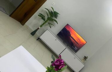 Fully furnished 2-bedroom apartment