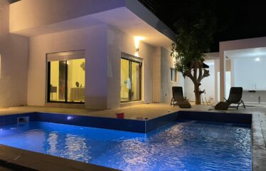 Magnificent furnished villa 6 rooms for sale in somone