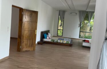 Magnificent furnished villa 6 rooms for sale in somone