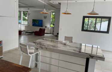 Magnificent furnished villa 6 rooms for sale in somone