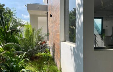 Magnificent furnished villa 6 rooms for sale in somone