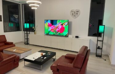 Magnificent furnished villa 6 rooms for sale in somone