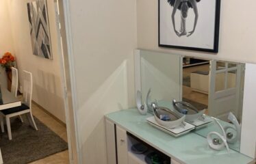 Furnished F3 apartment for rent in Le Virage