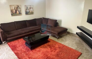 APPARTEMENT MEUBLÉ A LOUER VIRAGE
