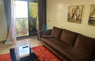 APPARTEMENT MEUBLÉ A LOUER VIRAGE
