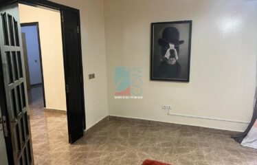 APPARTEMENT MEUBLÉ A LOUER VIRAGE