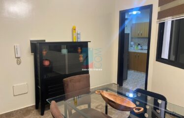 APPARTEMENT MEUBLÉ A LOUER VIRAGE