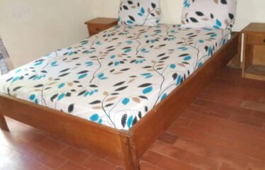 Furnished 5-room villa for rent in saly