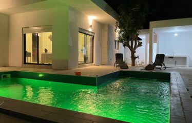 Magnificent furnished villa 6 rooms for sale in somone