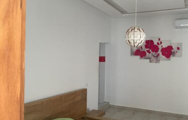 Magnificent furnished villa 6 rooms for sale in somone