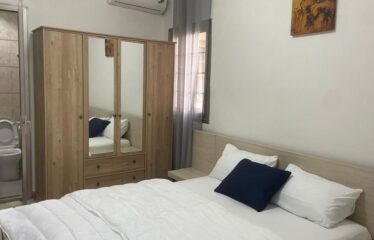 Furnished studio for rent in Les Maristes