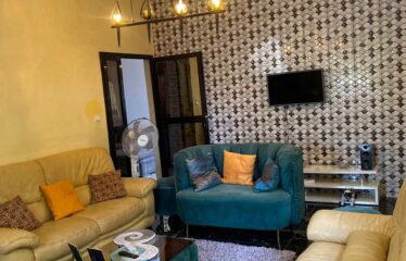 Fully furnished 4 room villa for rent in ngaparou