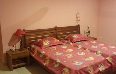 Beautiful furnished 4-room villa for rent in nguerigne