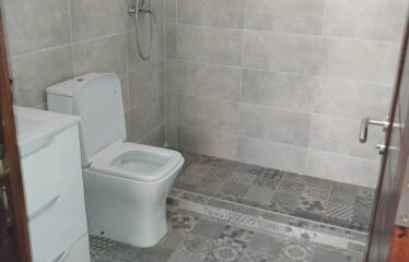 Belle villa f4 neuve moderne non meublée à louer à ngaparou
