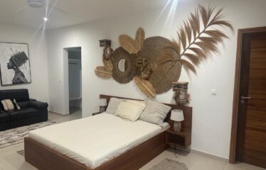 Magnificent furnished 7-room villa for rent in saly
