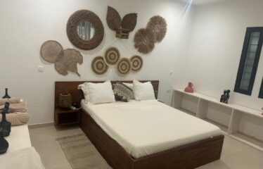 Magnificent furnished 7-room villa for rent in saly