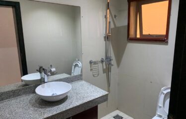 Beautiful furnished f3 apartment for rent in Le Virage