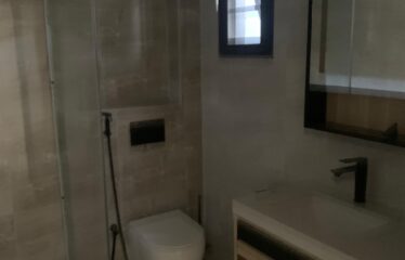 F4 APARTMENT FOR RENT LIBERTÉ 6