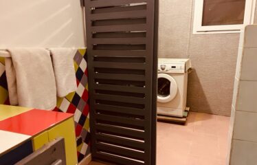 Studio meublé f2 en face de la mer à louer au virage