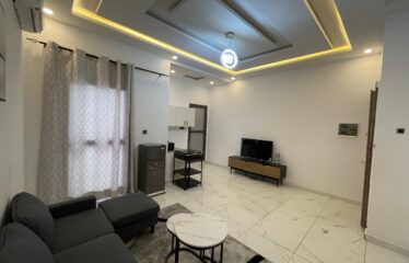 STUDIO MEUBLÉ À LOUER MERMOZ