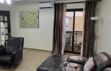 Furnished f3 apartment for rent in Le Virage