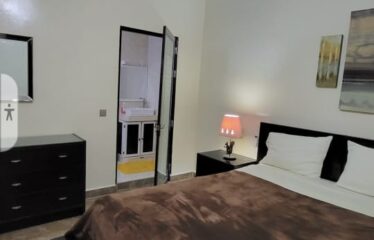 Furnished f3 apartment for rent in Le Virage