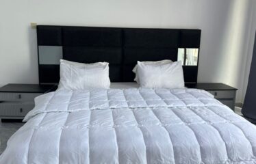 Penthouse meublé 6 pièces à louer au virage