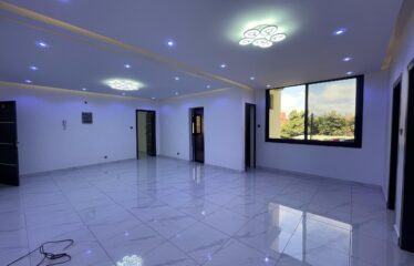 APPARTEMENT F4 À LOUER SICAP LIBERTÉ 2