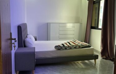Bel appartement meublé 6 pièces à louer au virage